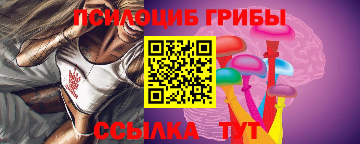 Реутов  Галлюциногенные грибы Psilocybine cubensis  Псилоцибиновые грибы GOLDEN TEACHER  Вход с VPN 