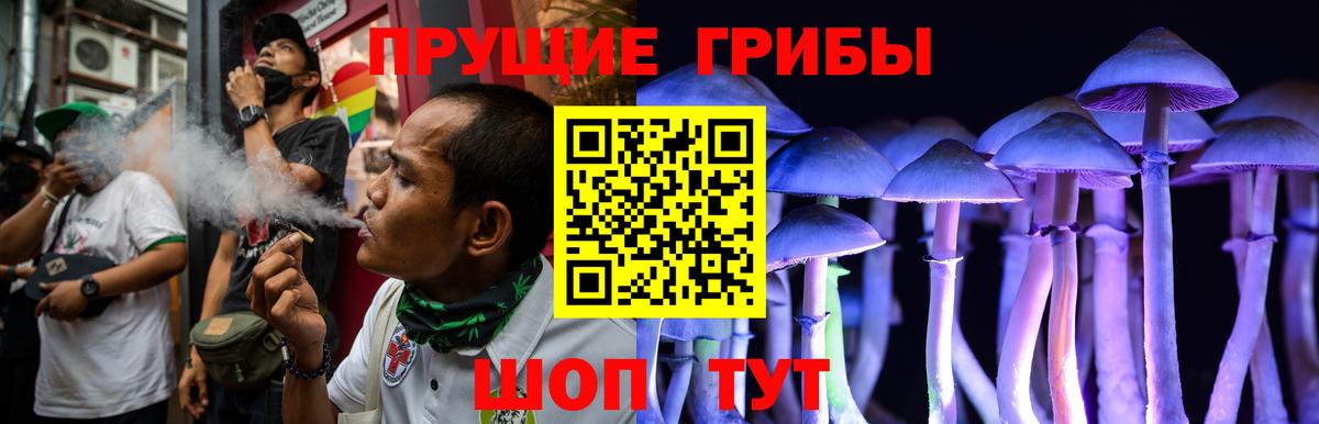Псилоцибиновые грибы Magic Shrooms Реутов
